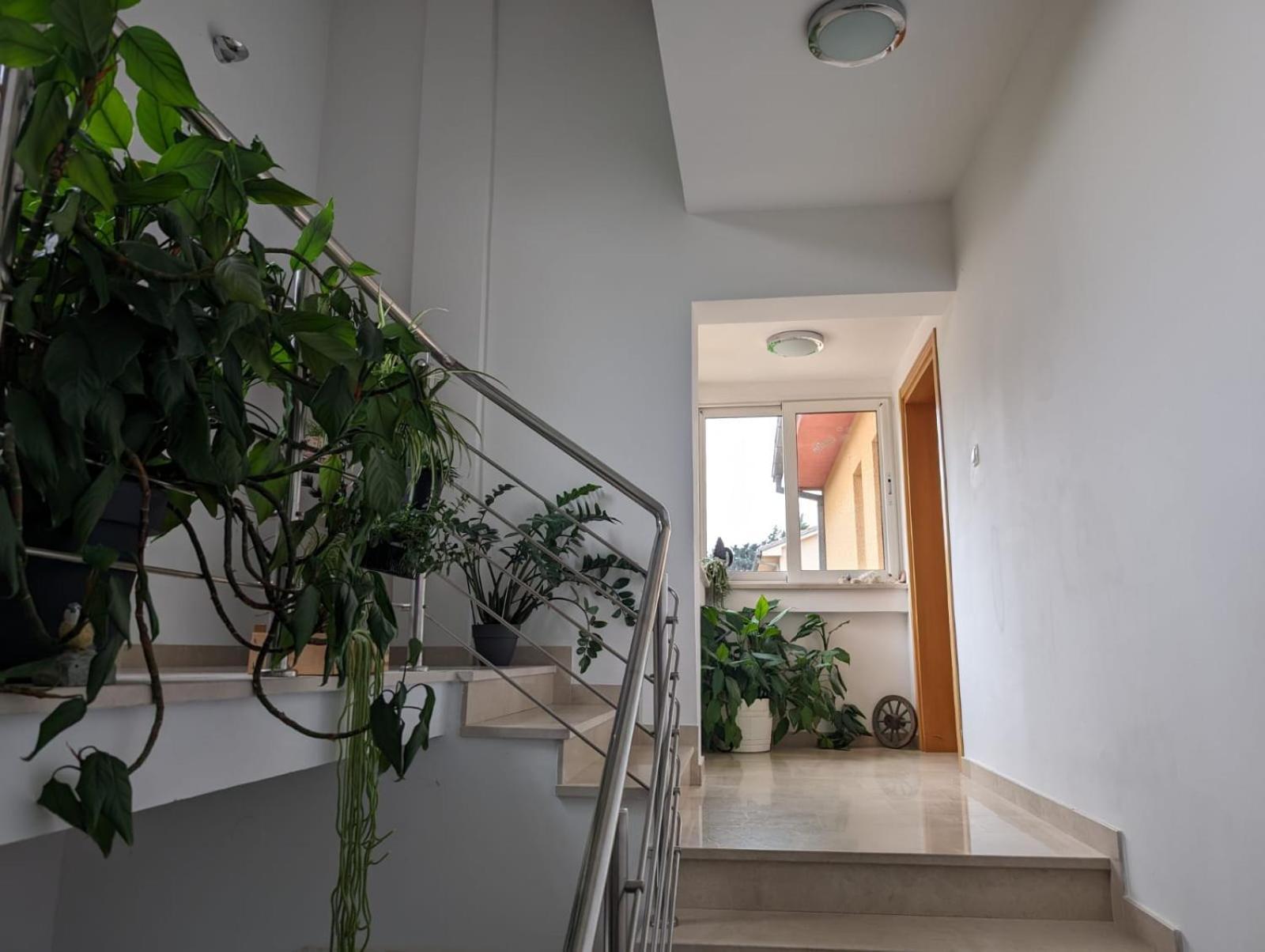 Vesna Rooms Crikvenica Esterno foto